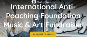 International Anti-Poaching Foundation 'Akashinga, Brave Ones' Virtual Music Benefit and Auction